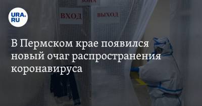 В Пермском крае появился новый очаг распространения коронавируса