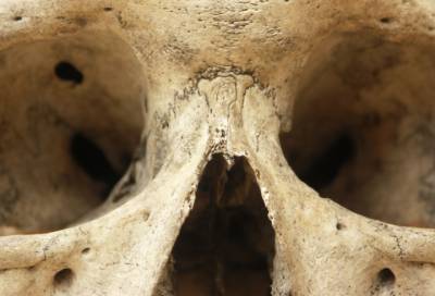 На стройке в Ленобласти нашли ящик с человеческими костями