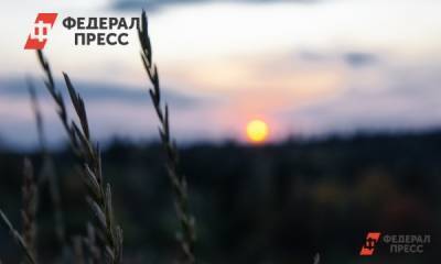 В Волгоградской области под контролем депутатов ради трассы вырубят лес