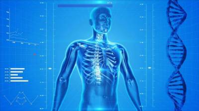 Учёные: Хронический стресс негативно влияет на состояние костей
