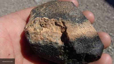 Следы внеземной жизни найдены в древнем метеорите