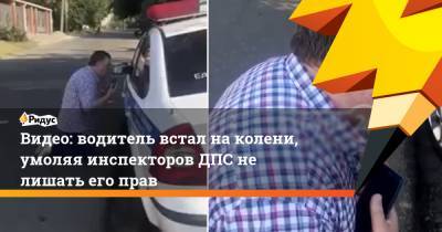 Видео: водитель встал на колени, умоляя инспекторов ДПС не лишать его прав