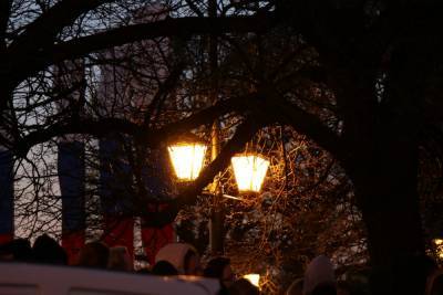 Почти 500 фонарей установили в Пулковском парке