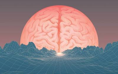 Тест: Все ли вы знаете о работе человеческого мозга?