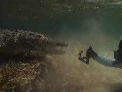 Бесстрашный итальянский дайвер поплавал с крокодилами на мексиканском побережье
