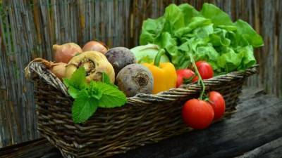 Домашний огород: названы овощи, которые можно вырастить на балконе
