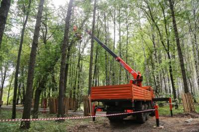 Более 1 600 деревьев посадят в парке «Швейцария» взамен аварийных