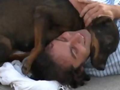 Трогательное видео из Сети: пес бросился на помощь «раненому» актер и прервал представление