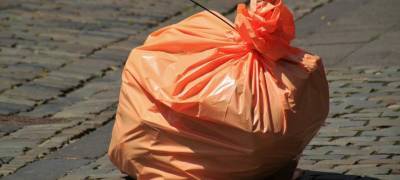 Мешок с мусором выставили на аукцион почти за 5 млн рублей (ФОТО)