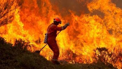Масштабные природные пожары вышли из-под контроля в Испании