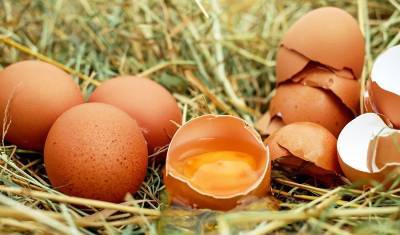 Анна Коробкина назвала допустимую норму яиц в неделю