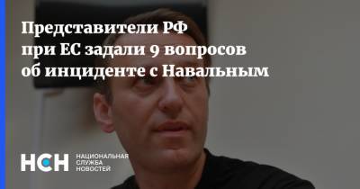 Представители РФ при ЕС задали 9 вопросов об инциденте с Навальным