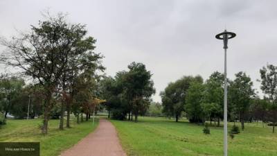 Фонари в Пулковском парке Петербурга подключили раньше срока