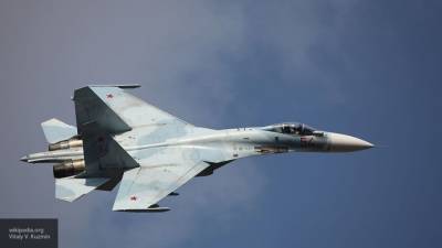 Российский истребитель сопроводил самолеты НАТО над Черным морем