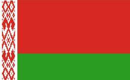 Глава МИД Белоруссии: президентские выборы прошли не идеально
