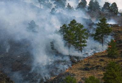 В России за сутки потушили 18 природных пожаров
