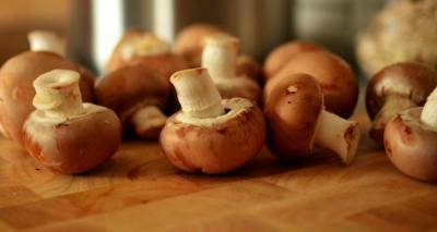 Что происходит с организмом, когда вы едите грибы?