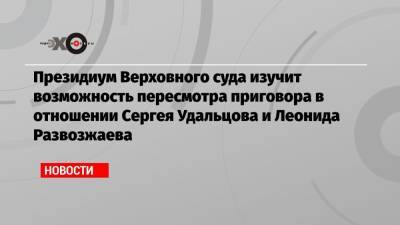 Президиум Верховного суда изучит возможность пересмотра приговора в отношении Сергея Удальцова и Леонида Развозжаева