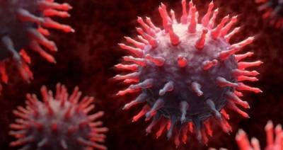 Ученые предостерегли, что COVID-19 может стать сезонным вирусом и возобновиться зимой