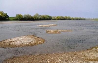 Украинские реки могут пересохнуть: наблюдается тревожная тенденция