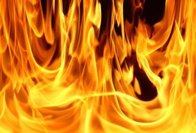 В Ленобласти при пожаре в частном доме погибла пожилая женщина