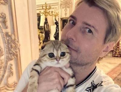 Дико тусим: Николай Басков устроил шуточный дуэт со своей кошкой