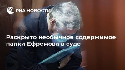 Раскрыто необычное содержимое папки Ефремова в суде