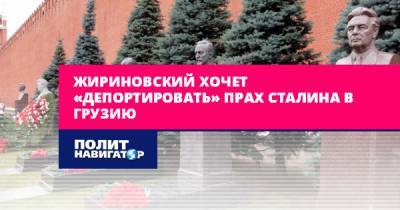 Жириновский хочет «депортировать» прах Сталина в Грузию