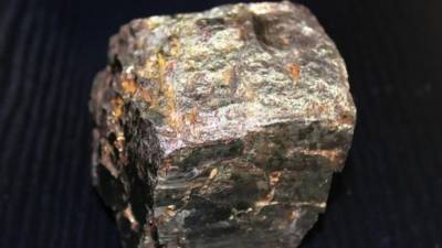 В Бийске мужчина пошел за грибами, а нашел метеорит возрастом 5 миллионов лет