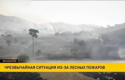 В некоторых регионах Бразилии объявлен режим ЧС из-за лесных пожаров