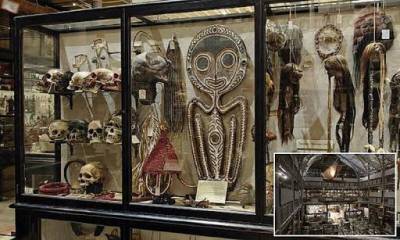 Музей Оксфордского университета убрал из экспозиции коллекцию «высушенных голов»