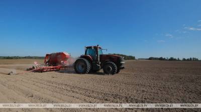 Озимыми зерновыми в Минской области засеяна треть запланированных площадей