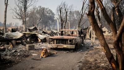 Пожары на Западе США охватили около 2 миллионов гектаров