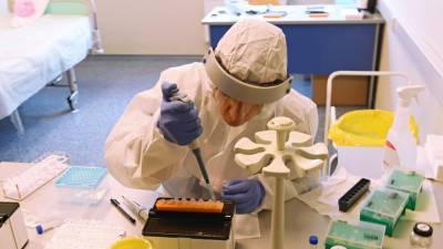 Более 41,4 млн тестов на коронавирус проведено в России