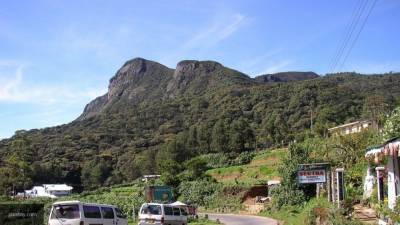 Петроглифы эпохи Неолита нашли на горе в Шри-Ланке