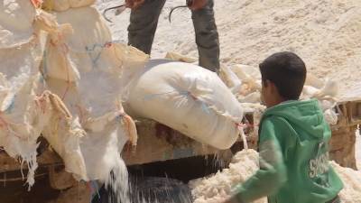 В сирийской Пальмире возобновили добычу пищевой соли