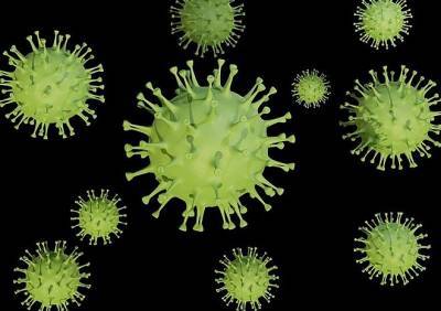 В Рязанской области выявлено еще 33 зараженных коронавирусом