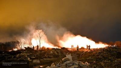 Парки и вузы итальянской Анконы закрыли из-за крупного пожара