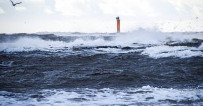 Синоптики предупреждают о буре, самые серьезные последствия ожидаются в Риге и окрестностях