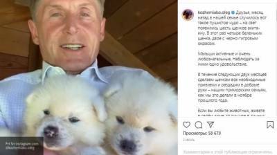Собака губернатора Приморского края Кожемяко найдена мертвой