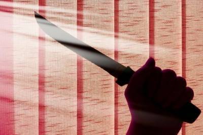 Пьяна дочь изрезала мать ножом и оставила истекать кровью в квартире в Тверской области