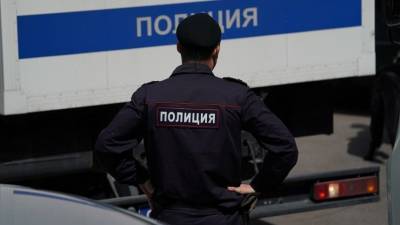 Полицейский спас студентку в центре Петербурга — видео