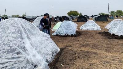 В палаточном лагере в Самарской области собралось более 4 тыс. граждан Узбекистана