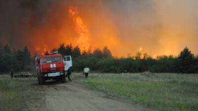 Крымские леса закрыли еще на три недели из-за угрозы пожаров
