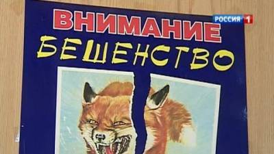 В одном из центральных районов Москвы введен двухмесячный карантин по бешенству
