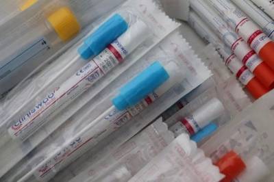 В РФ провели более 41,4 млн тестов на коронавирус