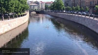 Набережную реки Карповки в Петербурге благоустроят до 16 октября