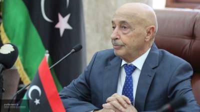 Палата представителей отметила первые успехи по выводу Ливии из кризиса