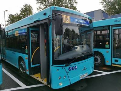В 2020 году на маршруты в Петербурге выйдет более 350 новых автобусов