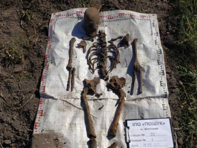 Держались за руки: в Житомирской области найдены останки 10 солдат времен Второй мировой